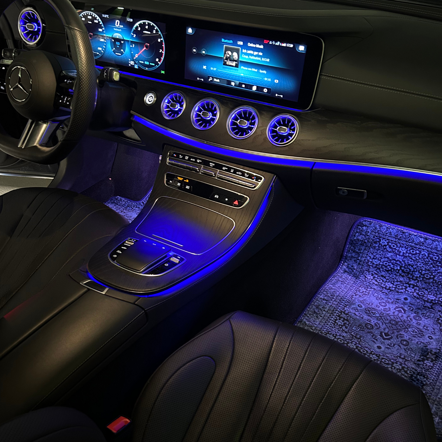 Detail view of Persian Blue